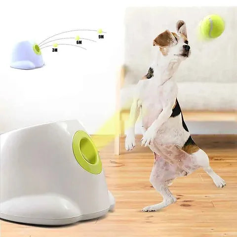 Divertibola: Lanzador de Pelotas para Mascotas - Automaticprime