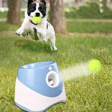 Divertibola: Lanzador de Pelotas para Mascotas - Automaticprime